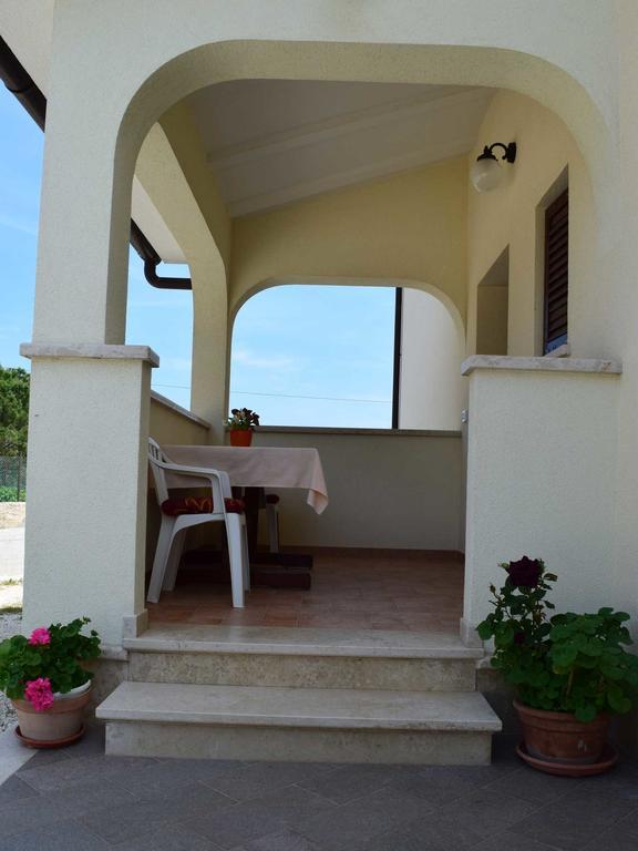 Guesthouse Marko Musalez 外观 照片